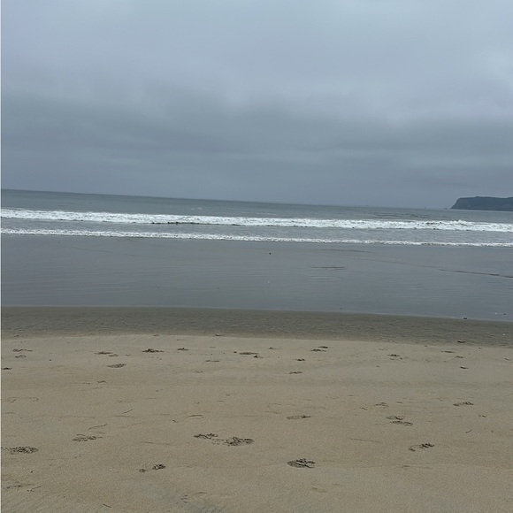 Meet your Posher, Autumn - Picture 1 of 1